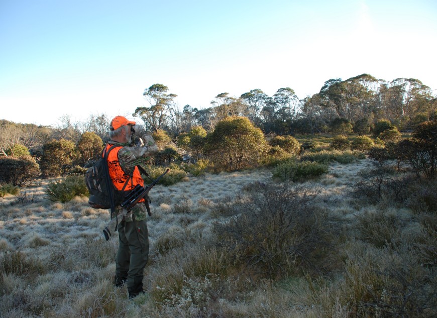 Skilled shooters with an understanding of feral cat behaviour is vital for effective control. Photo Parks Victoria 