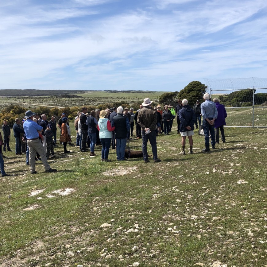 Feral cat management and even eradication has strong community support on Kangaroo Island. 