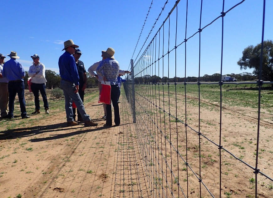 Traps should be strategically placed in areas frequented by cats are such as fence lines, beside tracks, areas of high food resources, interesting landscape features.: Photo CISS