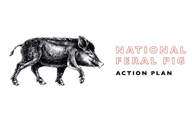 National Feral Pig Action Plan logo