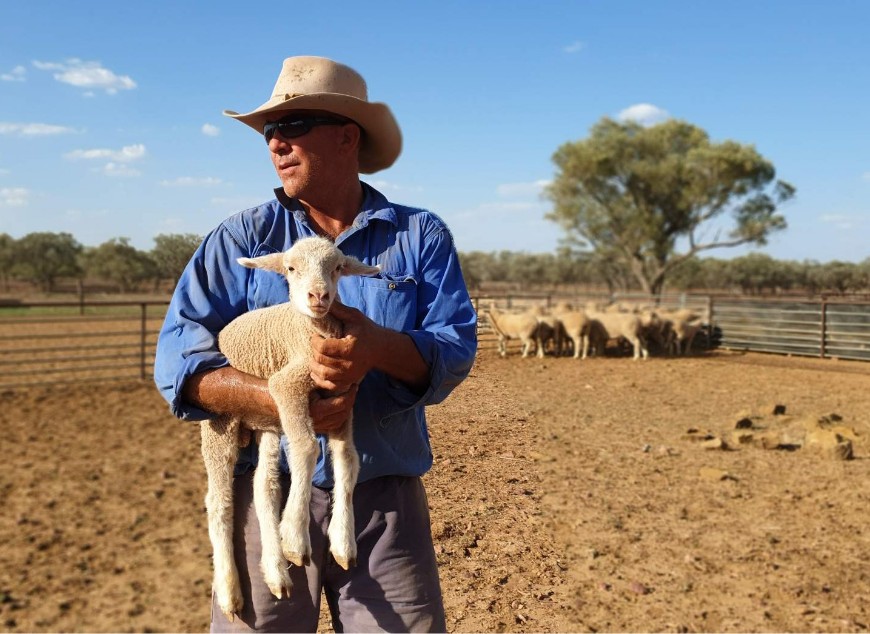 Baiting is one of the most effective tools available to reduce the impacts of feral cats on our native wildlife. Photo: Tony Buckmaster.