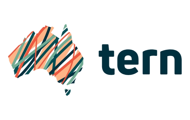 Tern Logo