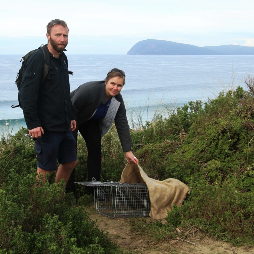 Traps should be strategically placed in areas frequented by cats are such as fence lines, beside tracks, areas of high food resources, interesting landscape features.: Photo CISS