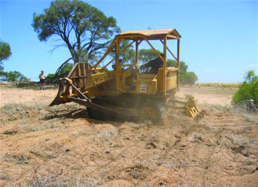 Traps should be strategically placed in areas frequented by cats are such as fence lines, beside tracks, areas of high food resources, interesting landscape features.: Photo CISS