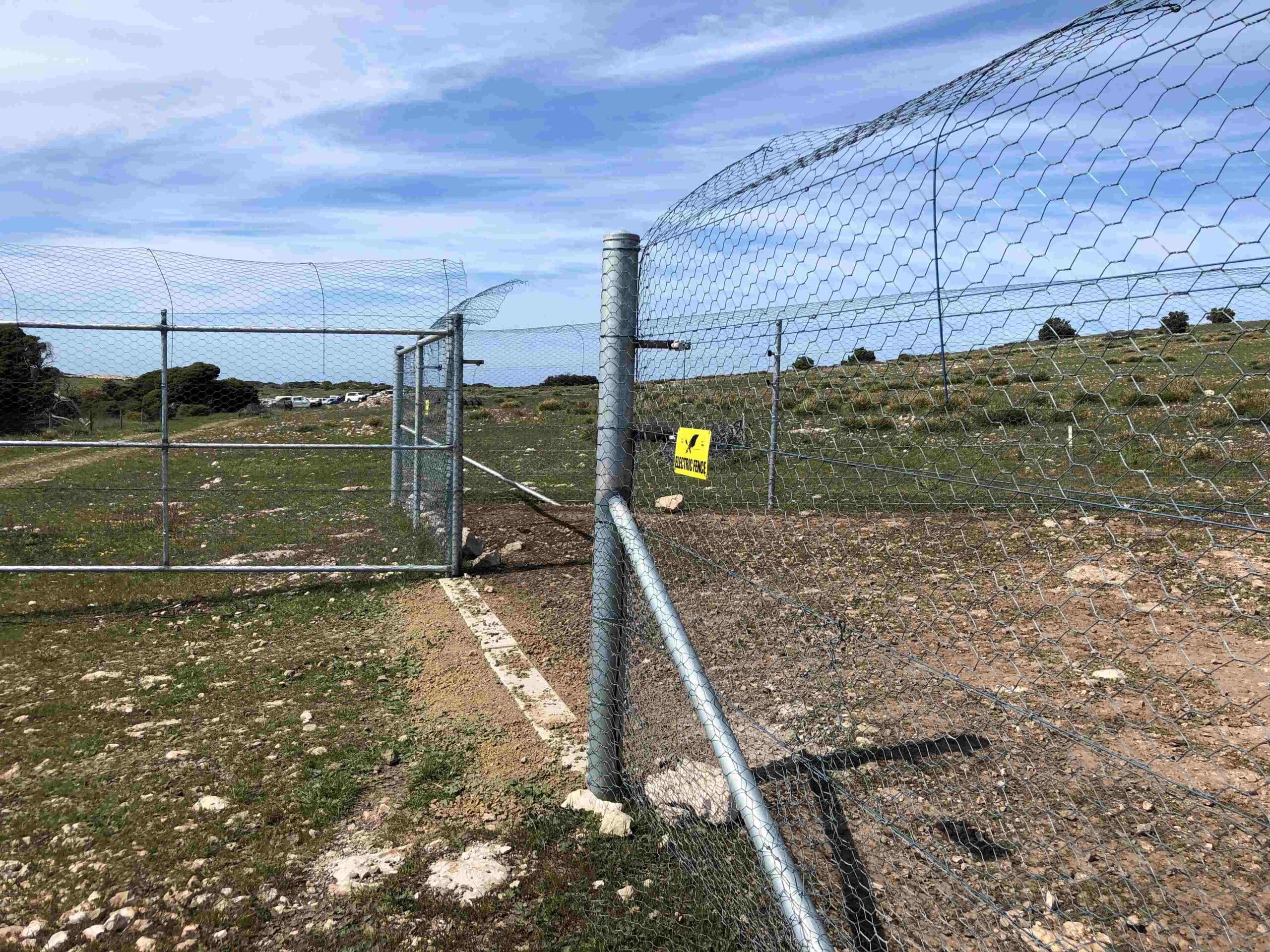 Traps should be strategically placed in areas frequented by cats are such as fence lines, beside tracks, areas of high food resources, interesting landscape features.: Photo CISS