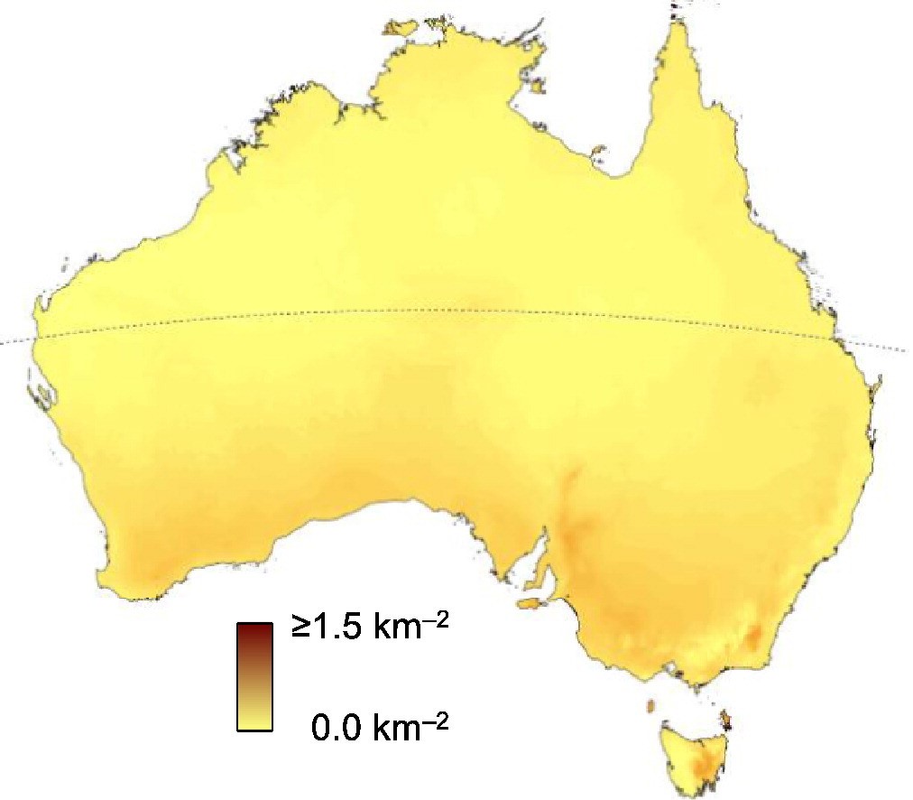 Graphic demonstrating feral cats and the fluctuation depending on weather conditions. 