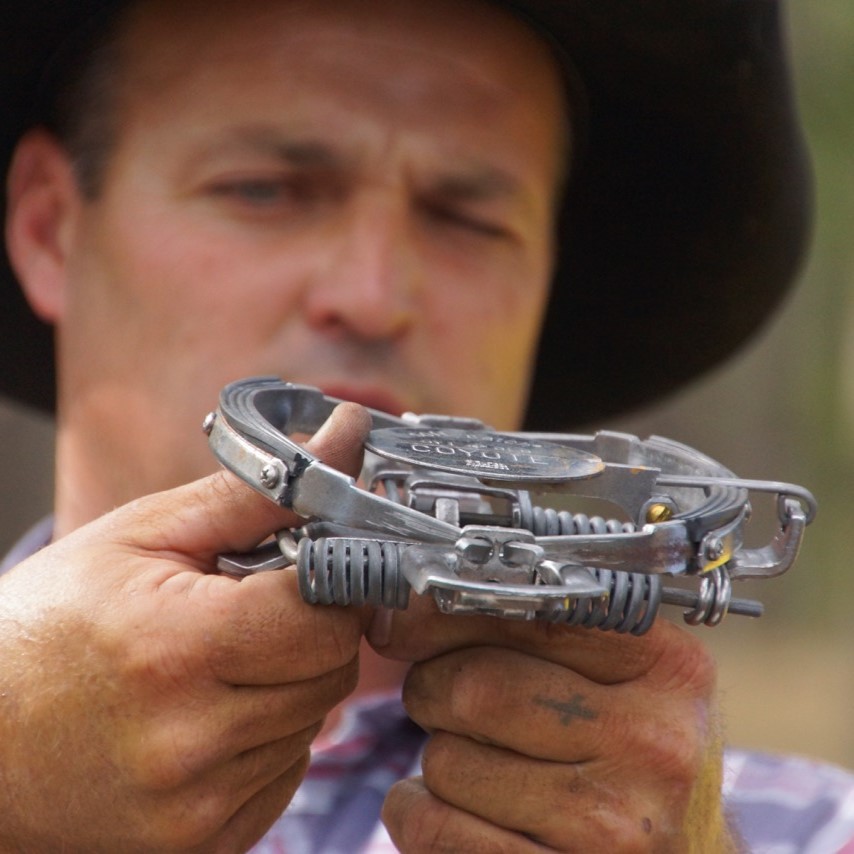 It is vital to ensure your traps are cleaned and maintained and set up correctly. 