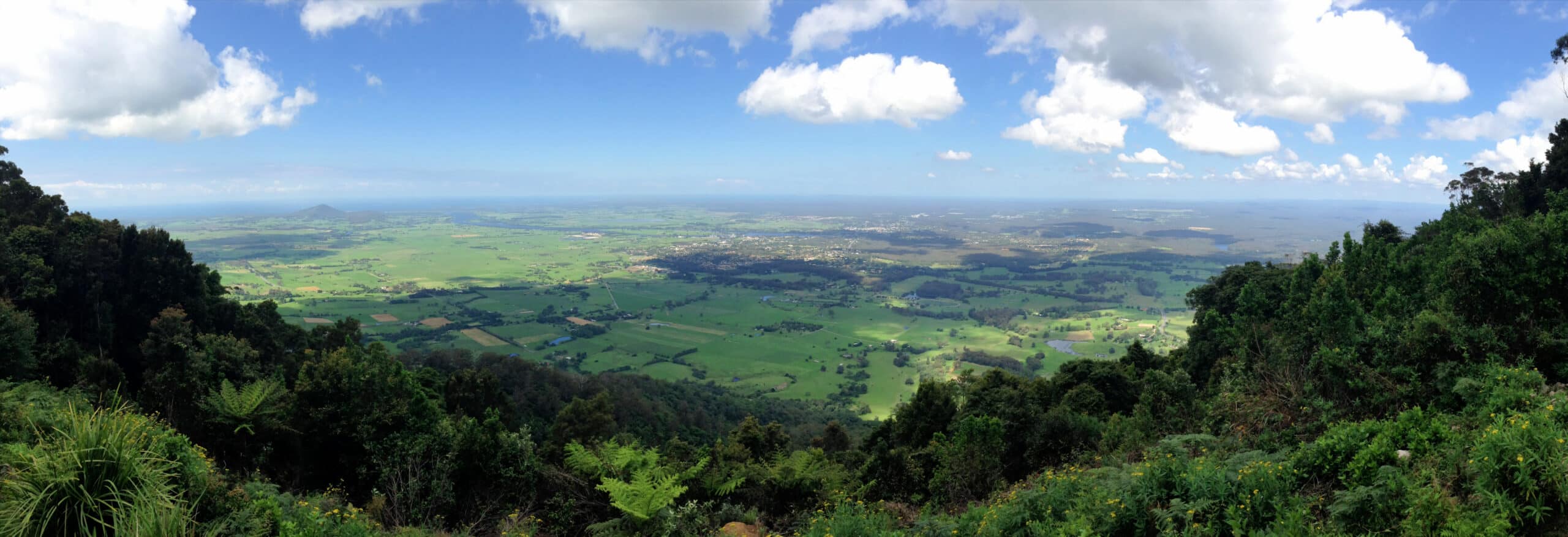 National Landcare Network Logo