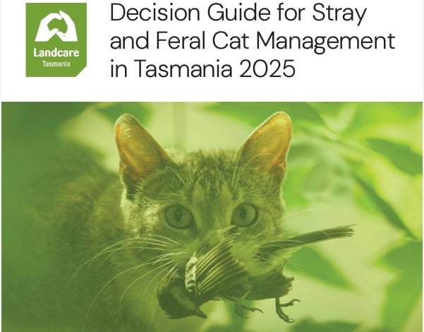 Decision Tree cover National Landcare Network Logo