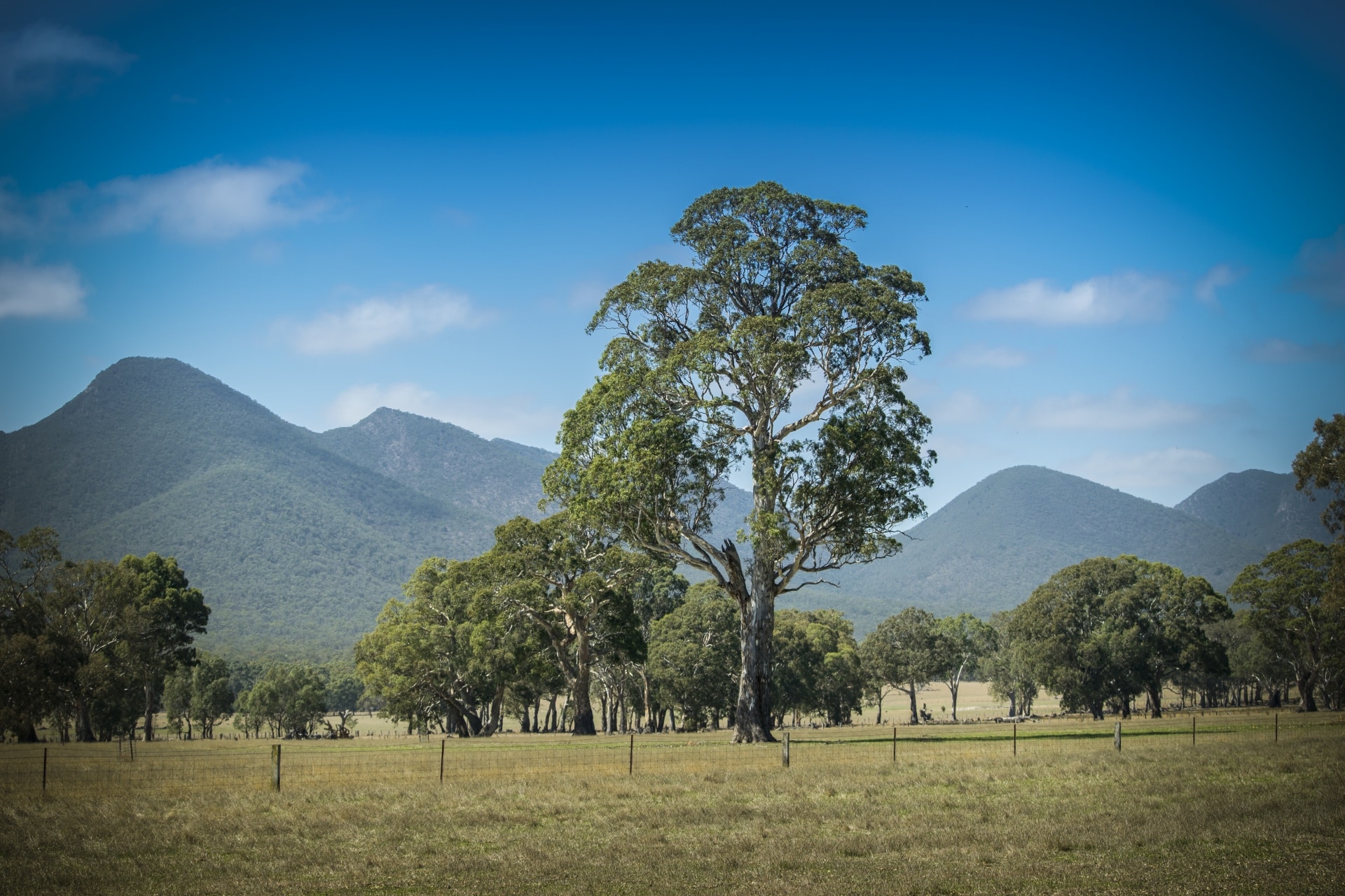 grampiansandfarmland_SandyFrew National Landcare Network Logo