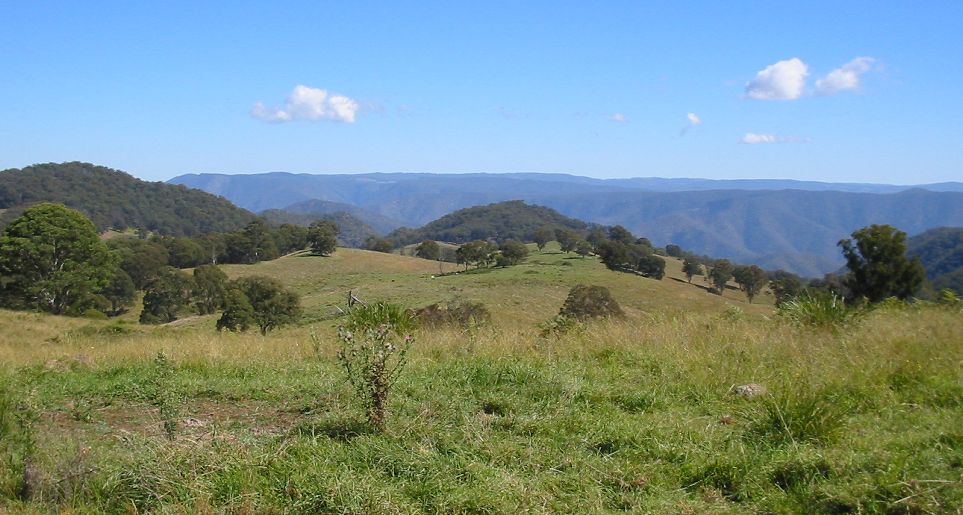 National Landcare Network Logo